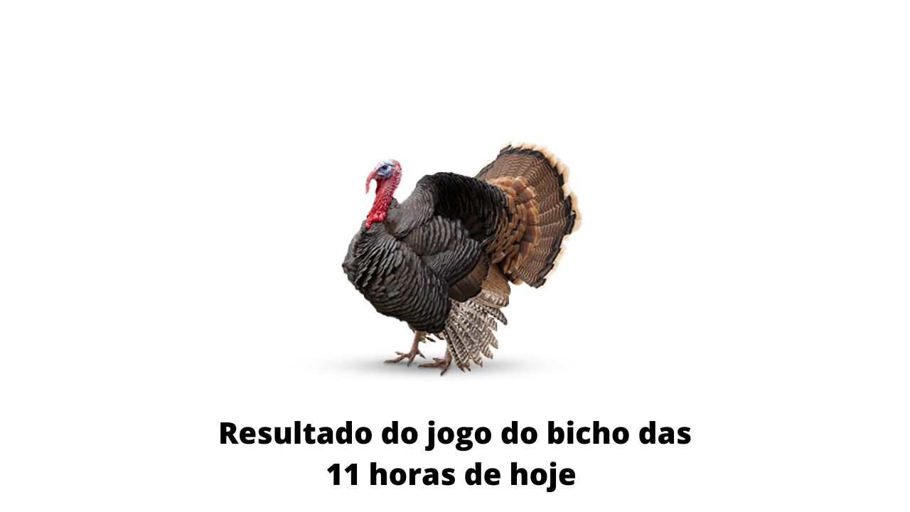 Resultado do jogo do bicho das 11 horas de hoje 17-03-2020