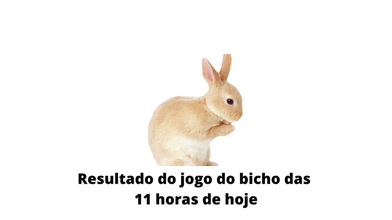Resultado do jogo do bicho das 11 horas de hoje 31-03-2020