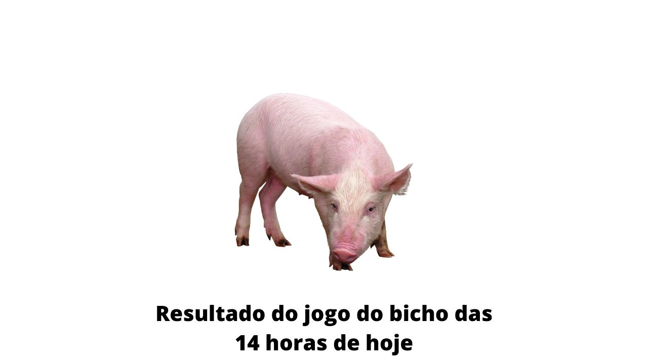 Resultado do jogo do bicho das 14 horas de hoje 19-03-2020