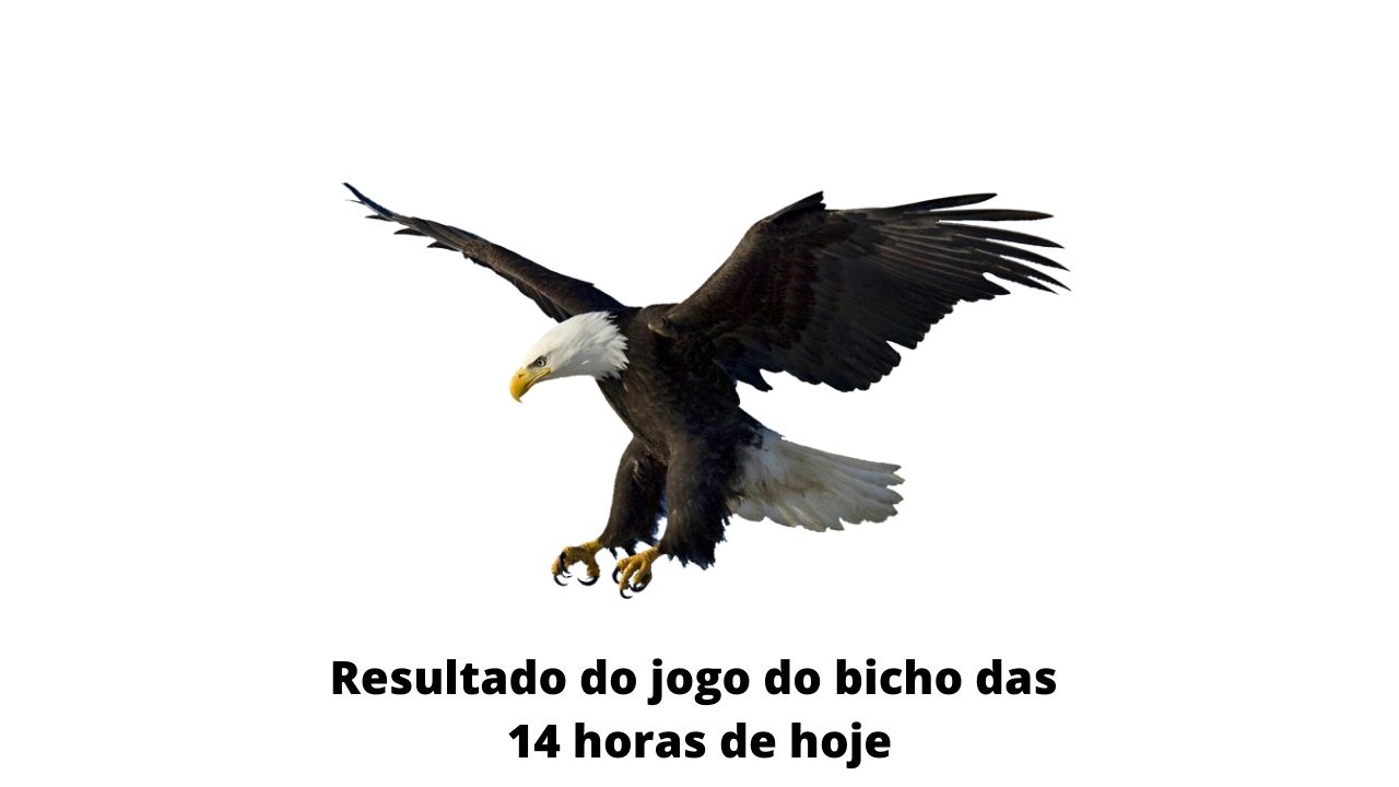 Resultado do jogo do bicho das 14 horas de hoje 21-03-2020