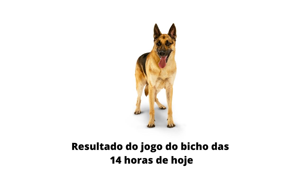 Resultado do jogo do bicho das 14 horas de hoje 30-03-2020