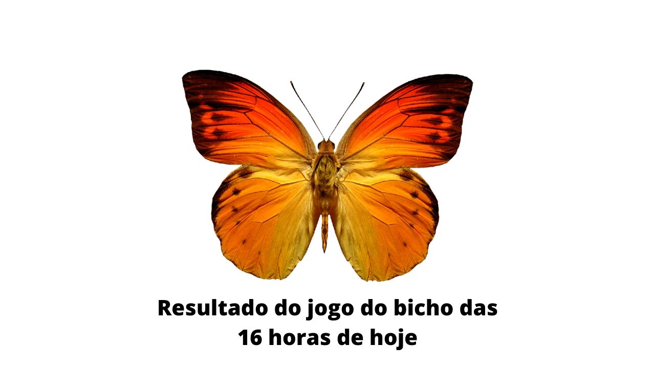 Resultado do jogo do bicho das 16 horas de hoje 16-03-2020