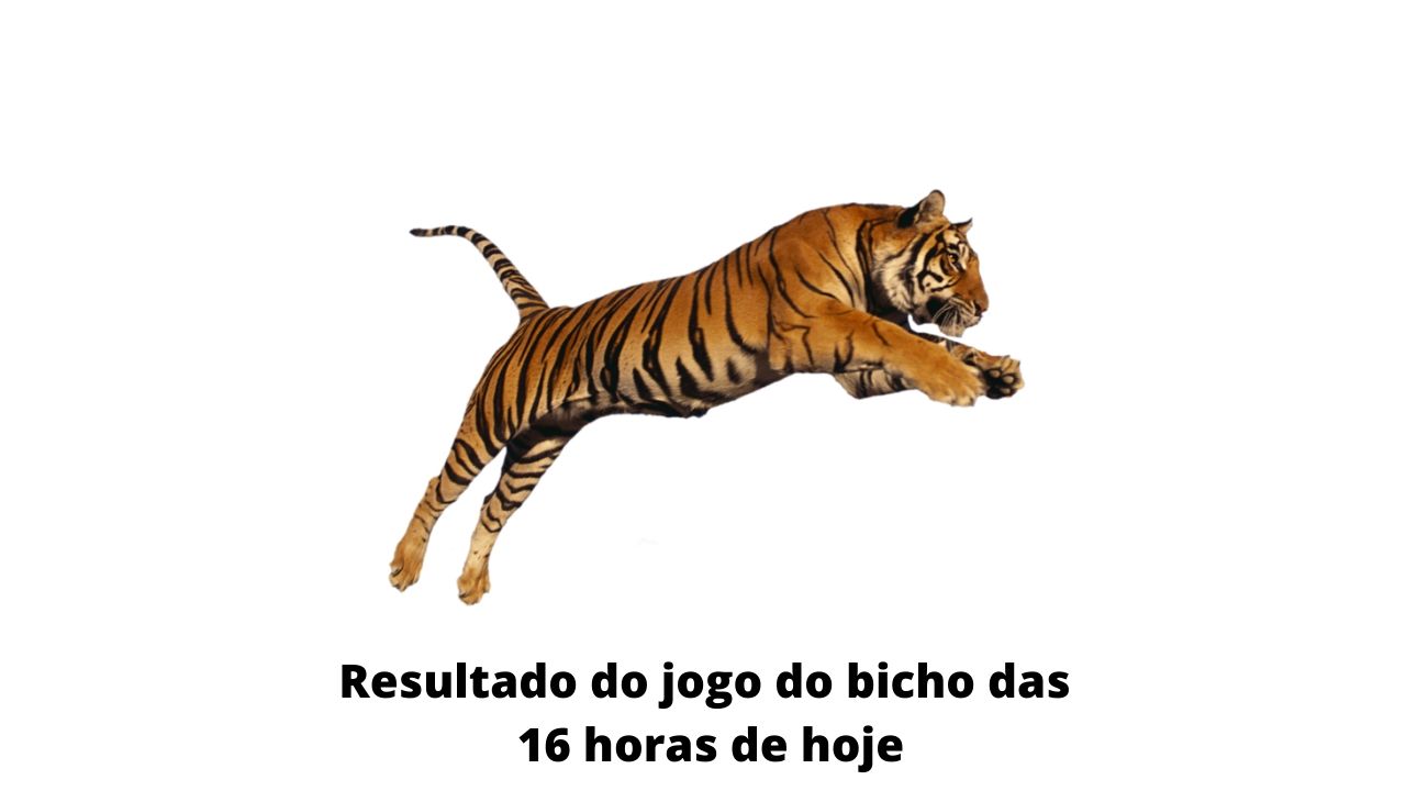 Resultado do jogo do bicho das 16 horas de hoje 18-03-2020