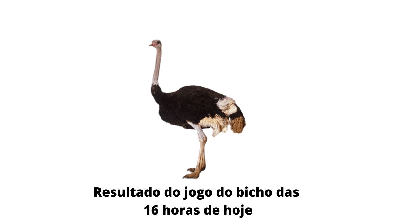 Resultado do jogo do bicho das 16 horas de hoje 30-03-2020
