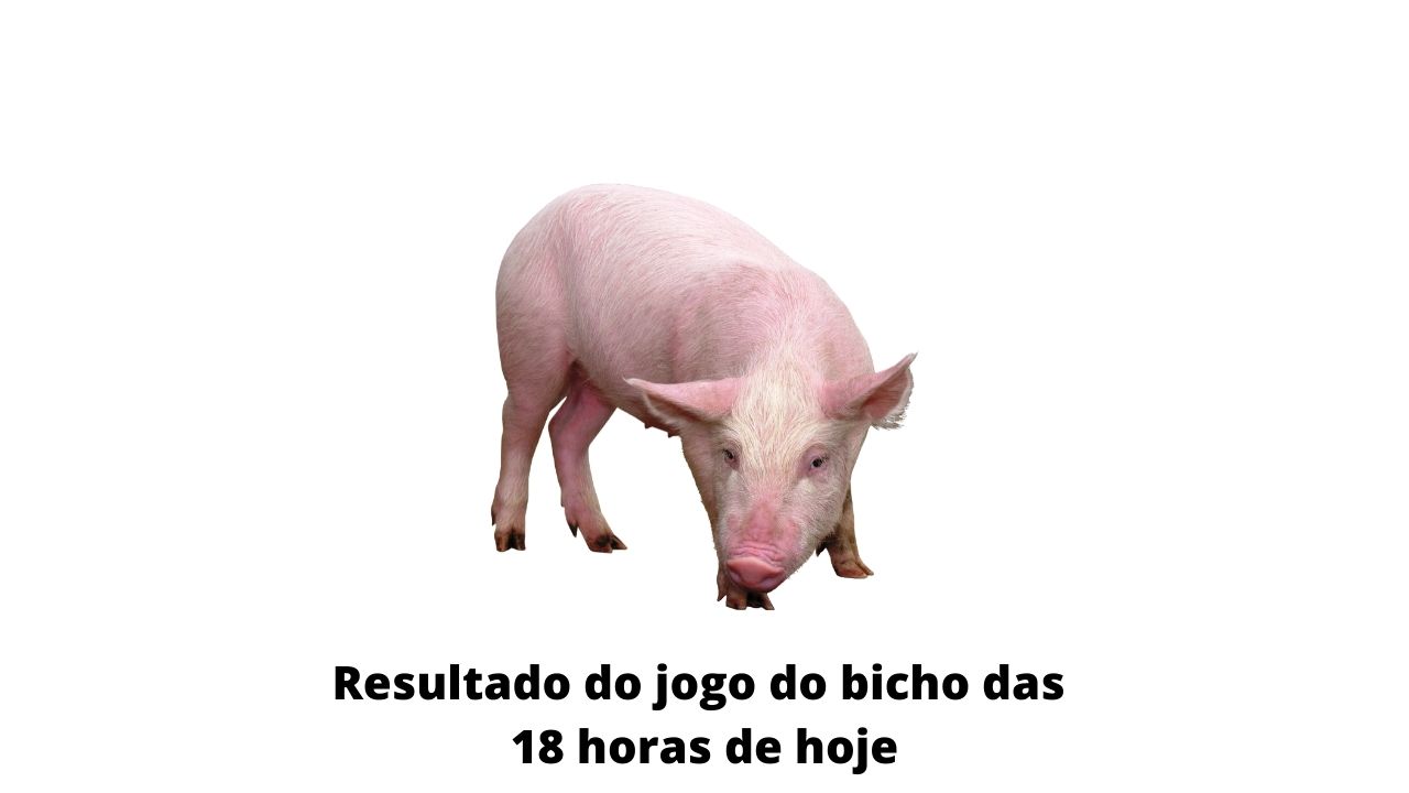 Resultado do jogo do bicho das 18 horas de hoje 19-03-2020