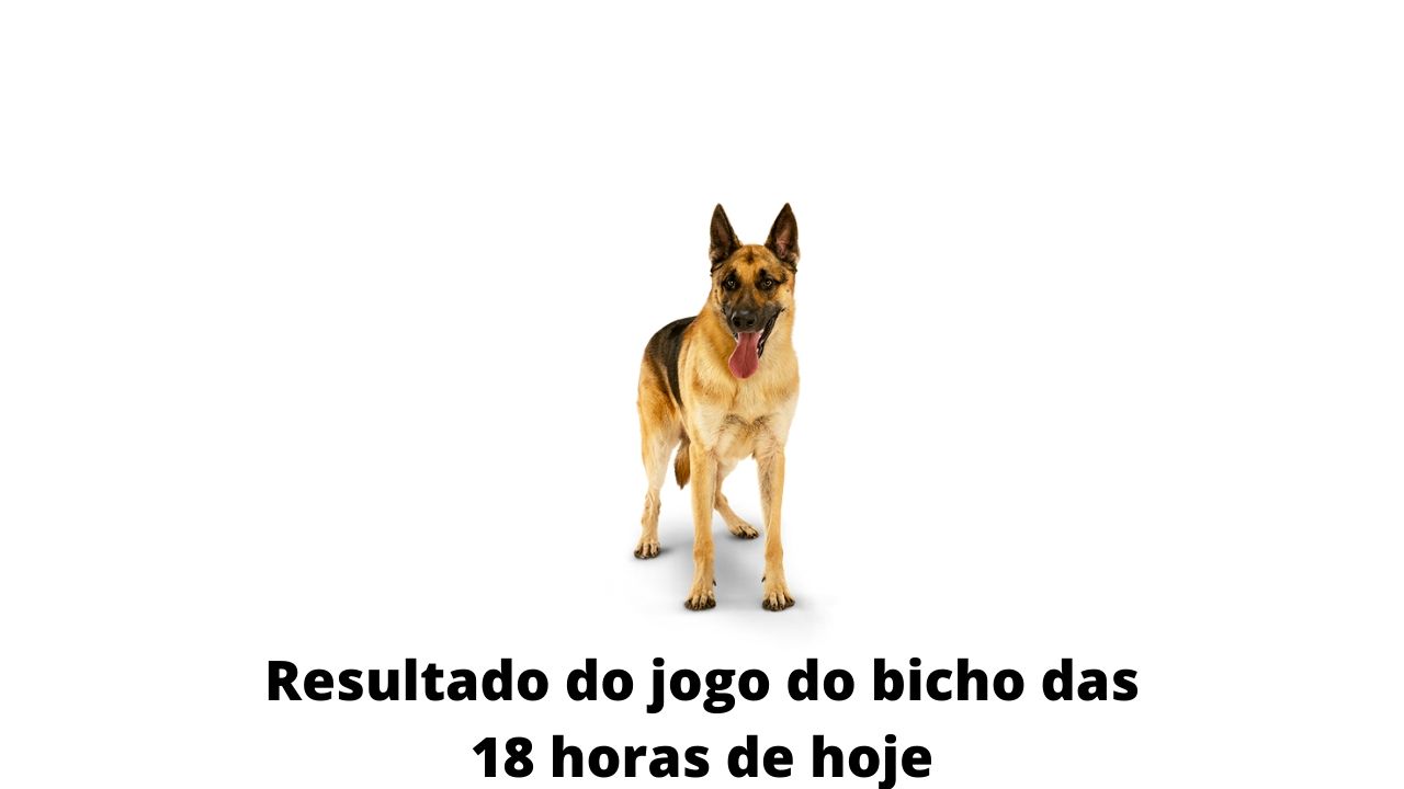 Resultado do jogo do bicho das 18 horas de hoje 25-03-2020