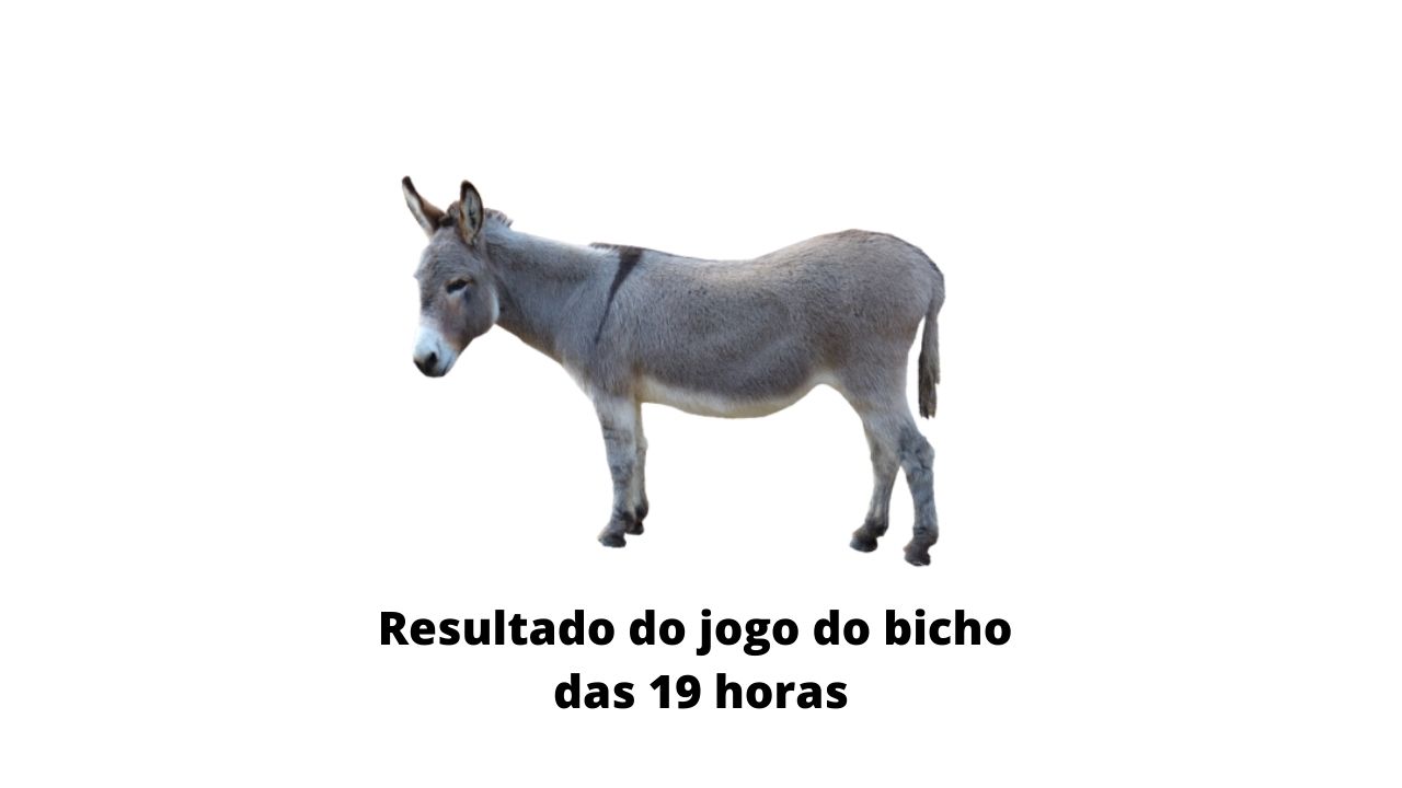 Resultado do jogo do bicho das 19 horas de hoje 18-03-2020
