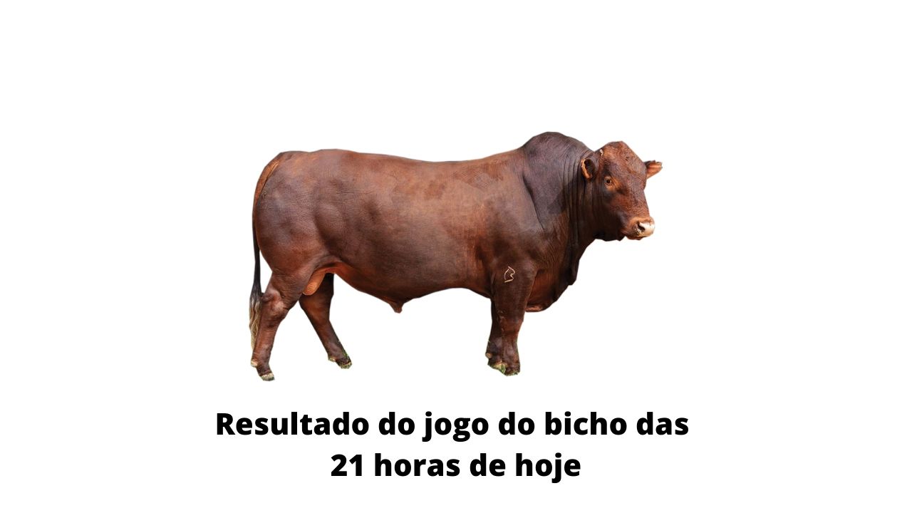 Resultado do jogo do bicho das 21 horas de hoje 16-03-2020