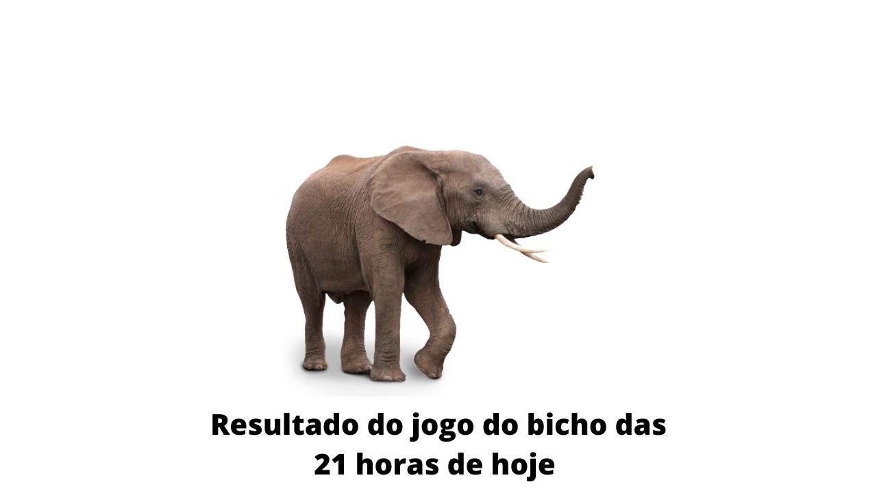 Resultado do jogo do bicho das 21 horas de hoje 17-03-2020