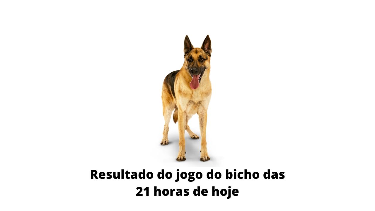 Resultado do jogo do bicho das 21 horas de hoje 30-03-2020