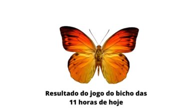 Resultado do jogo do bicho das 11 horas de hoje 12-04-2020