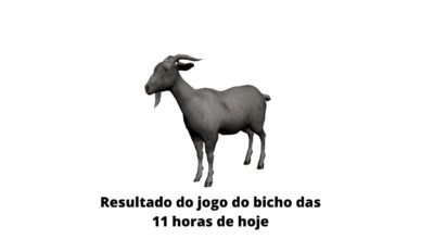 Resultado do jogo do bicho das 11 horas de hoje 13-04-2020