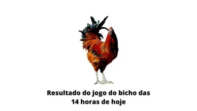 Resultado do jogo do bicho das 14 horas de hoje 01-04-2020