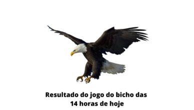 Resultado do jogo do bicho das 14 horas de hoje 03-04-2020