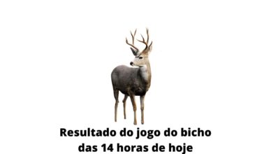 Resultado do jogo do bicho das 14 horas de hoje 14-04-2020