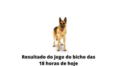 Resultado do jogo do bicho das 18 horas de hoje 04-04-2020