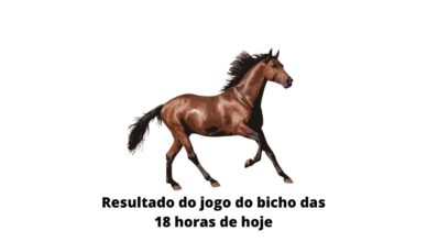 Resultado do jogo do bicho das 18 horas de hoje 13-04-2020