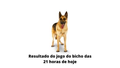 Resultado do jogo do bicho das 21 horas de hoje 07-04-2020