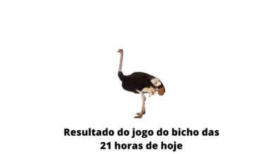 Resultado do jogo do bicho das 21 horas de hoje 09-04-2020