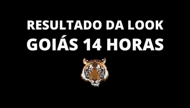 Resultado LOOK LOTERIAS 14h de hoje 29-07-2024