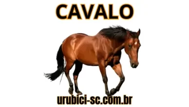 Palpite Jogo do Bicho de Hoje dia 15-09-2024 Tarde