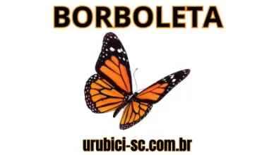 Palpite Jogo do Bicho de Hoje dia 29-09-2024 Tarde